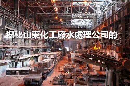 揭秘山東化工廢水處理公司的環(huán)保黑科技？它們是如何凈化污水的？